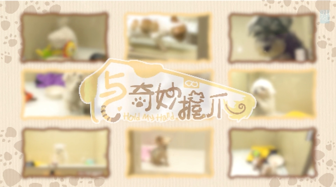 与奇妙握爪(全集)
